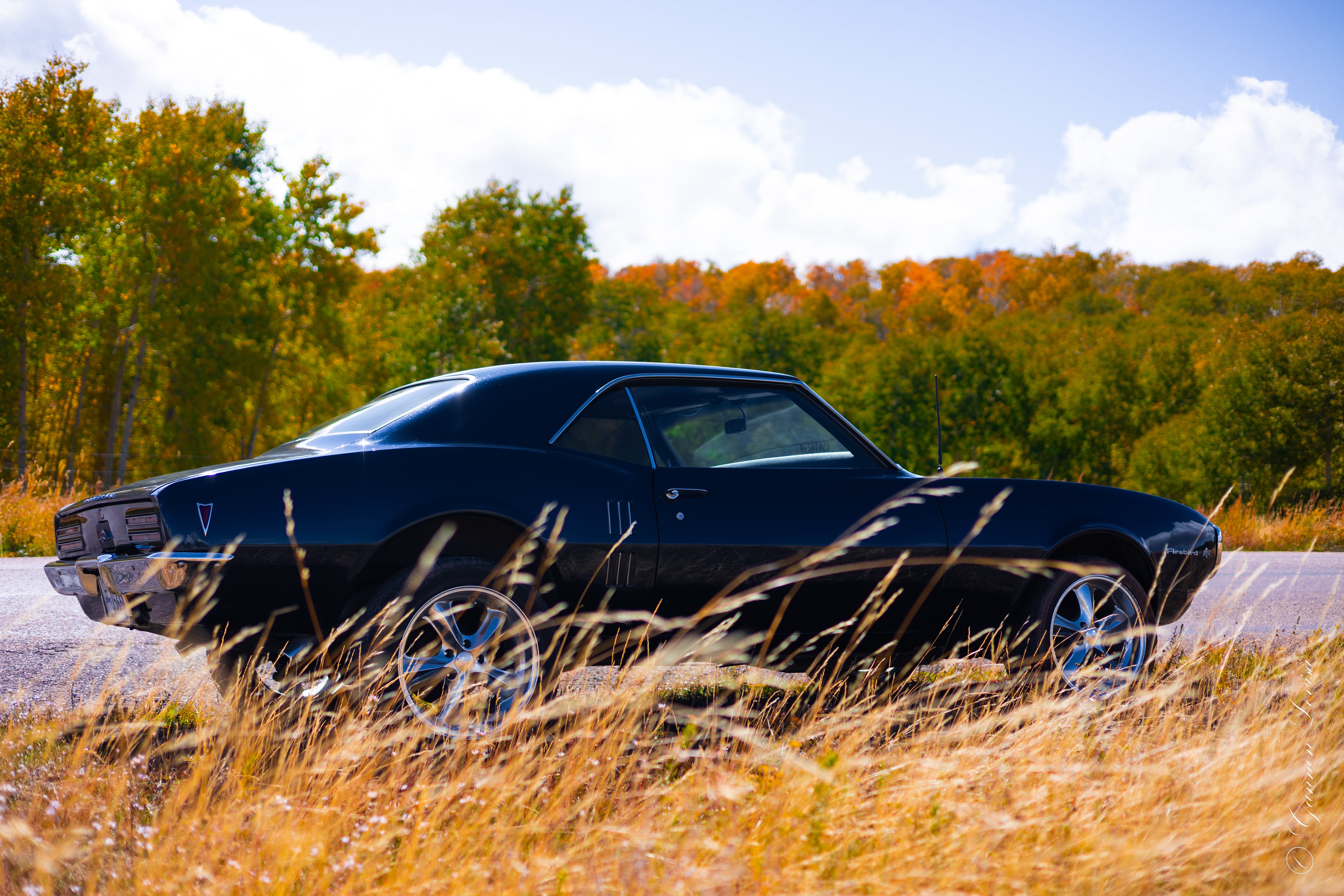 1968 Pontiac Firebird